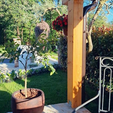 Apartment Damiani Umag Zewnętrze zdjęcie