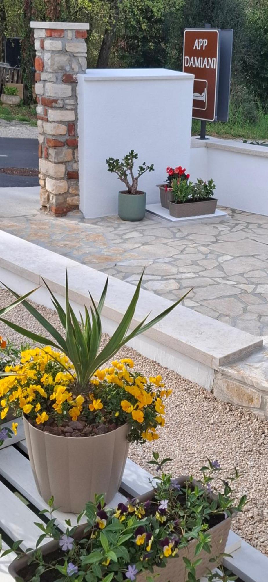 Apartment Damiani Umag Zewnętrze zdjęcie
