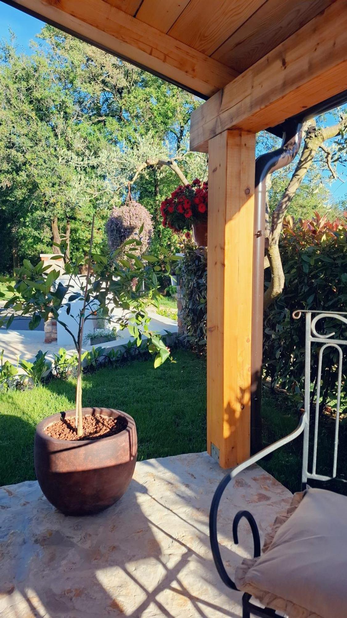 Apartment Damiani Umag Zewnętrze zdjęcie